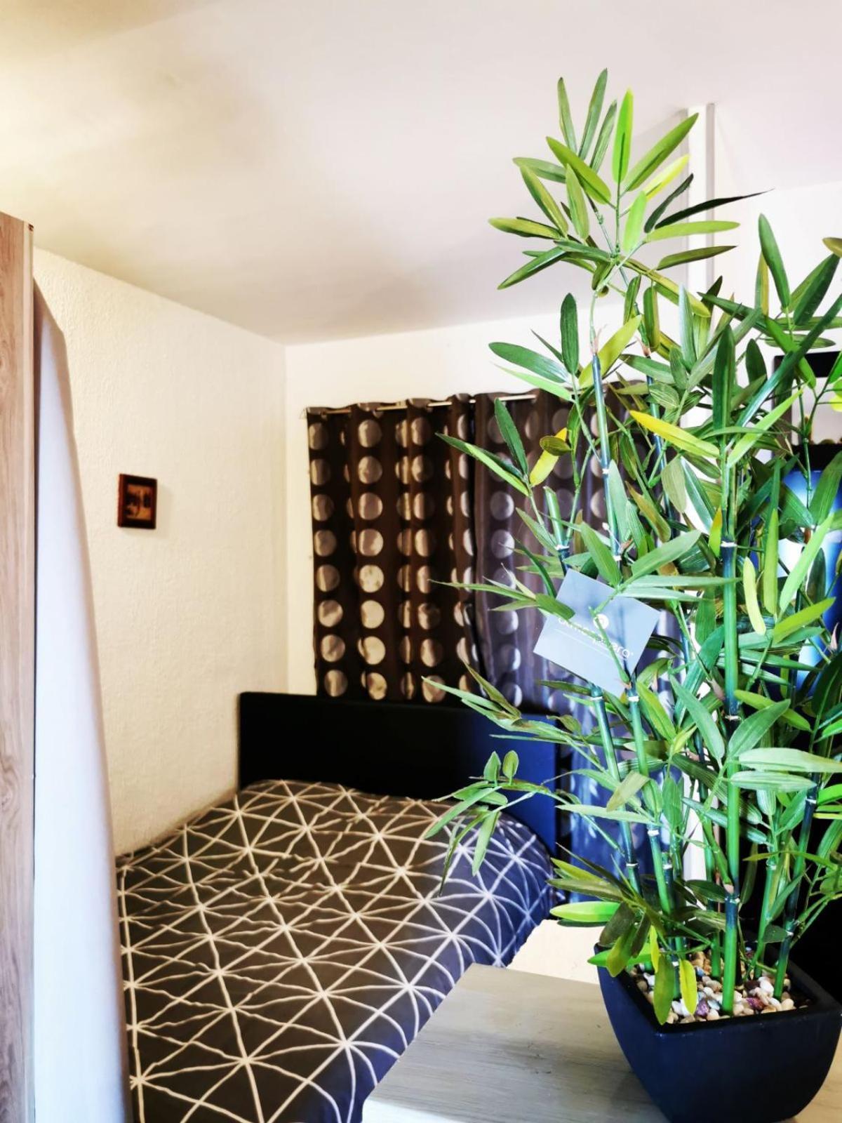 Studio Vue Sur Mer ฮองกา ภายนอก รูปภาพ