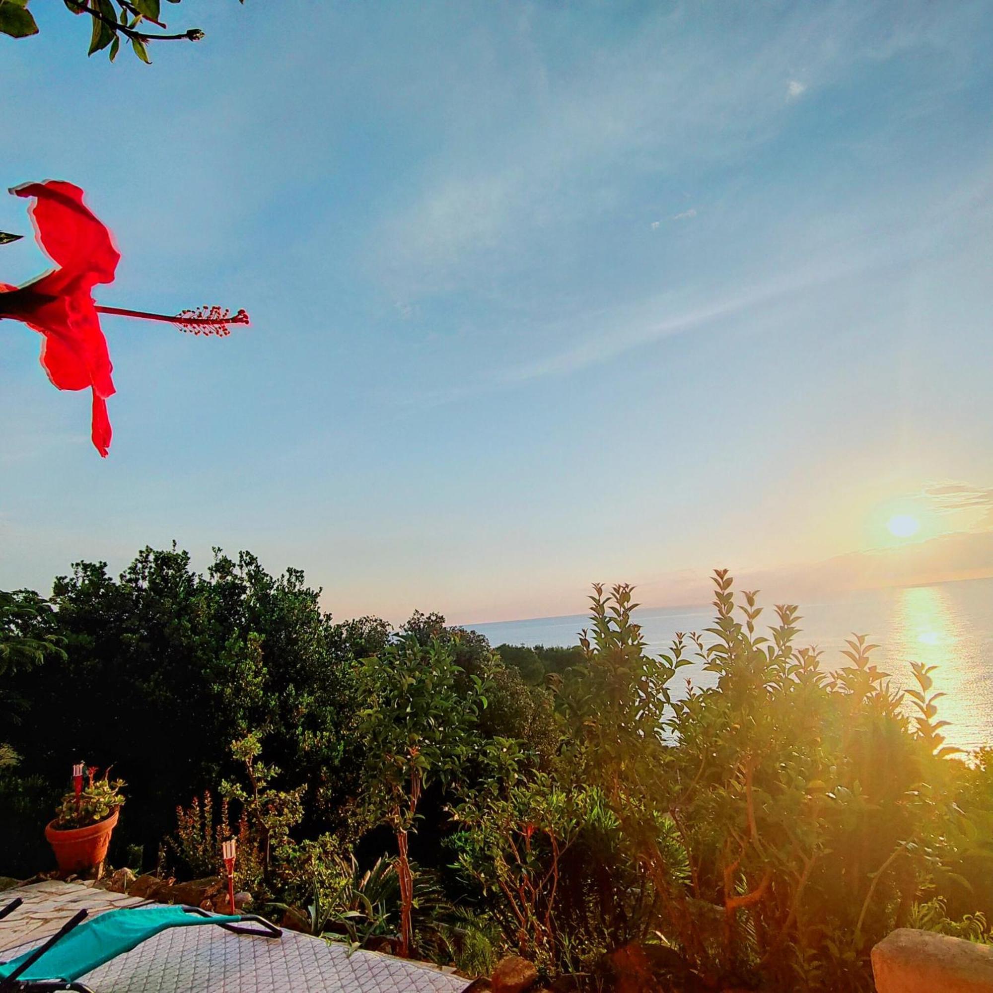 Studio Vue Sur Mer ฮองกา ภายนอก รูปภาพ