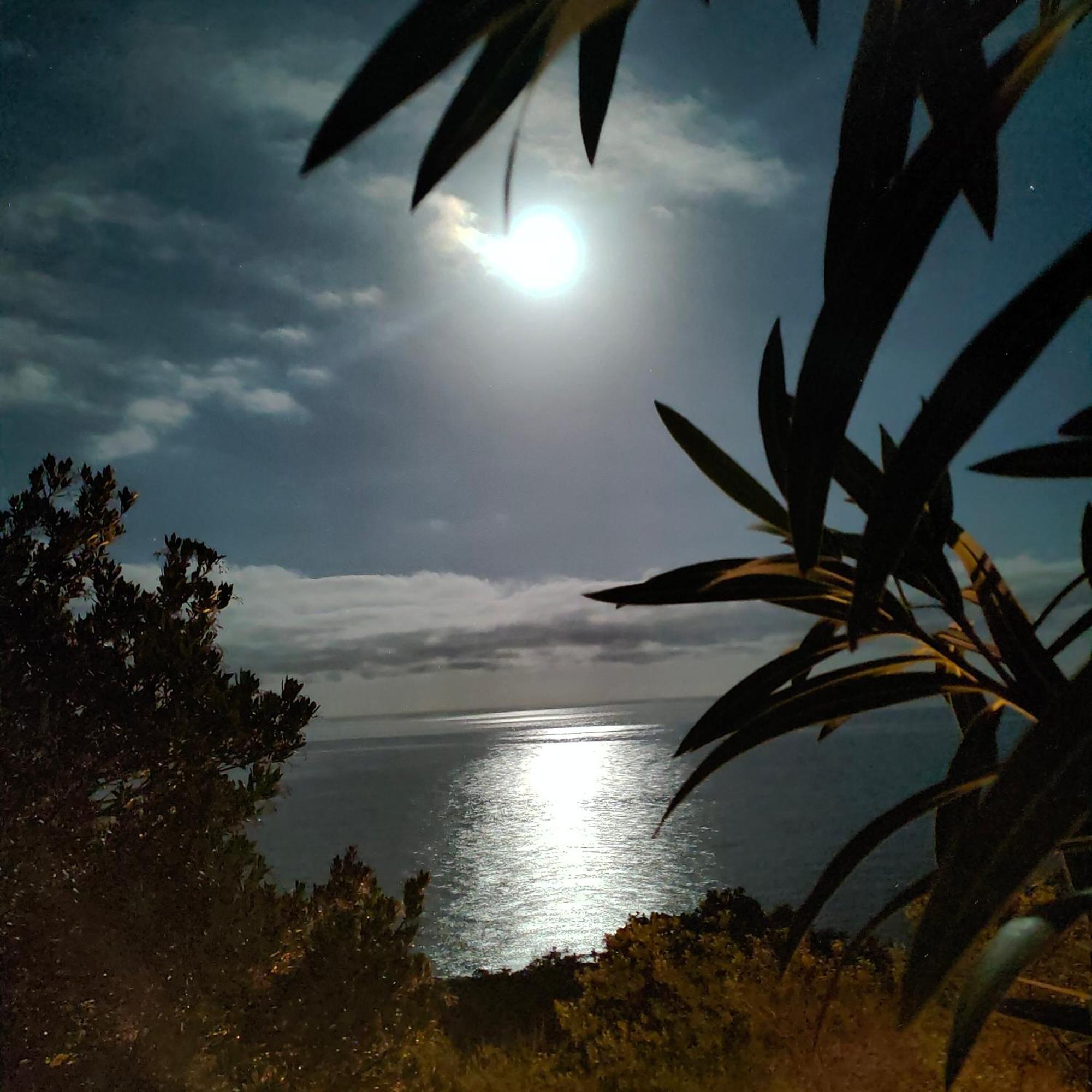 Studio Vue Sur Mer ฮองกา ภายนอก รูปภาพ