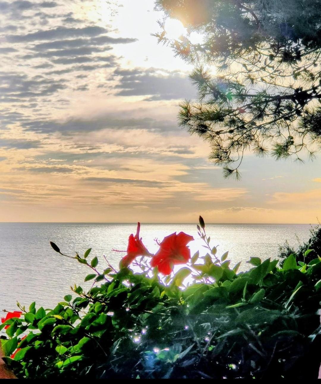 Studio Vue Sur Mer ฮองกา ภายนอก รูปภาพ